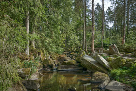 Gemeinde Waldkirchen Landkreis Freyung-Grafenau Saußbachklamm (Dirschl Johann) Deutschland FRG